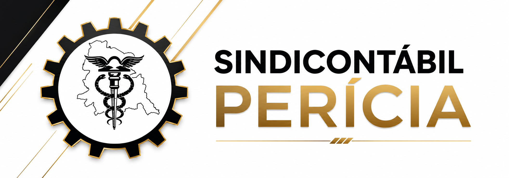 Parceiro 2